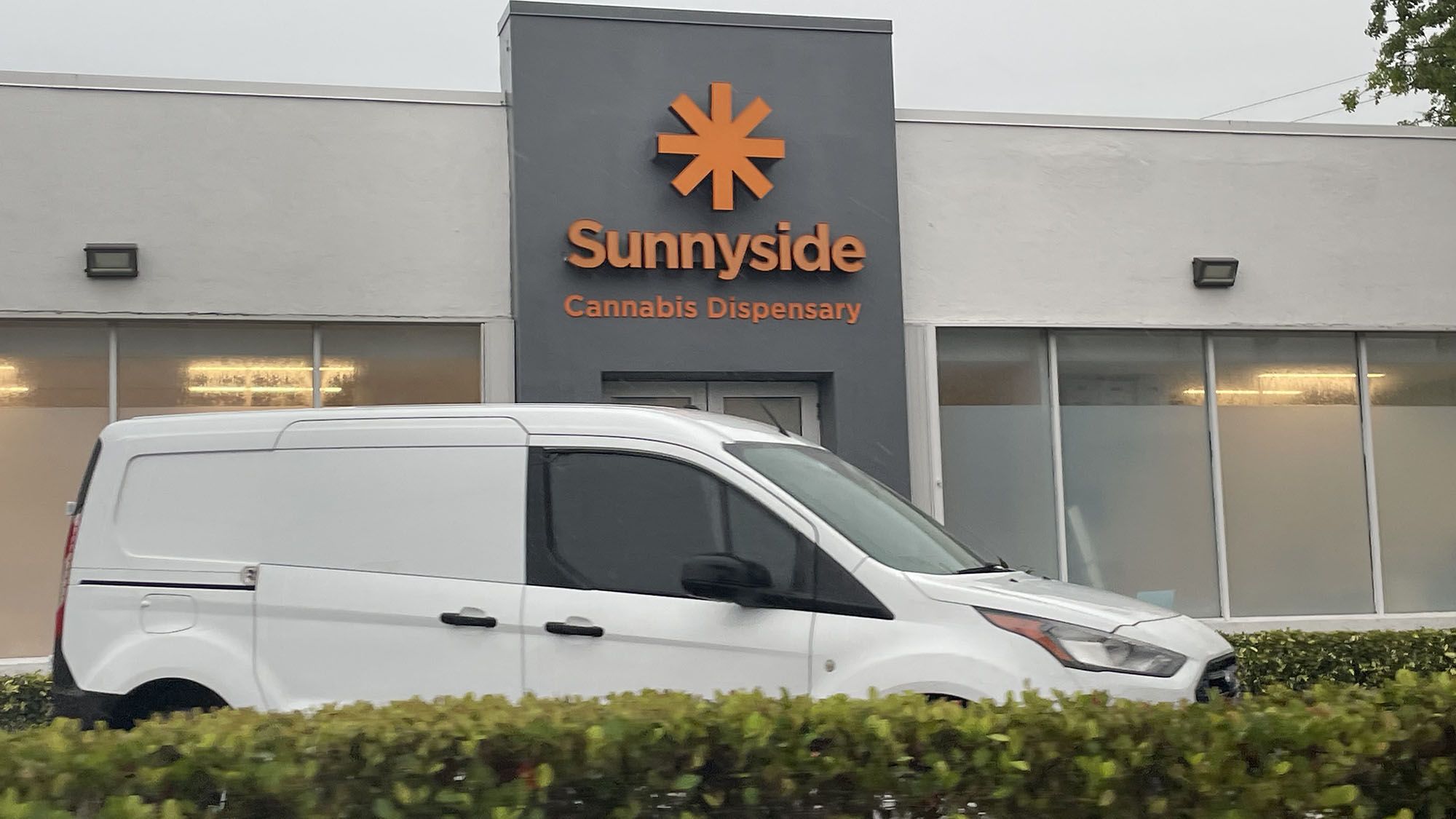 The Lavish Greens: Cannabis Consumption Among Florida’s West Coast Elite